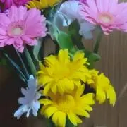 ☆うさぴょん☆の画像