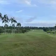 mansanの画像