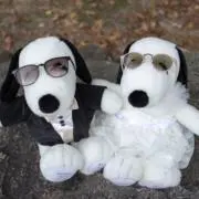 hima【まとめ買いでお値引きします】