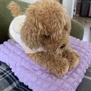 としちゃんまんの画像