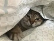 maru.の画像