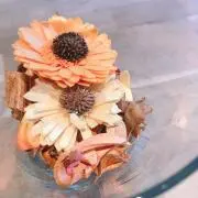 みーの画像