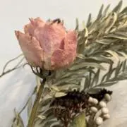 tatataの画像