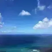 maniの画像