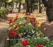 かなめ⭐︎土日気まぐれSALEの画像