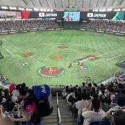 チョコプの画像