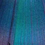 無芯之過