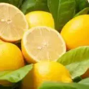 Lemonの画像