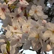 優の画像