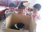 三姉妹ママの画像