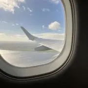 Sakuの画像