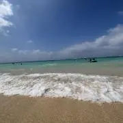 奏の画像