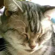 ☆いつき☆断捨離中♪の画像