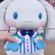 rの画像