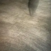 mi