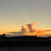 xtc00の画像
