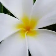 ドラモン✨の画像