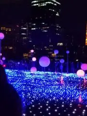 みゆの画像