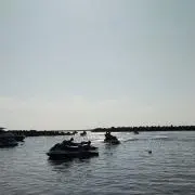 すのりん