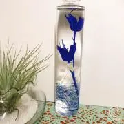 めぐの画像