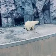 hy0604の画像