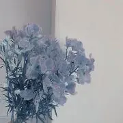 みんと