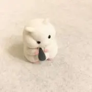 imakokoの画像