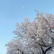 まき