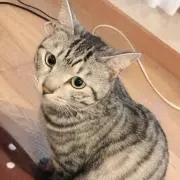 しお。