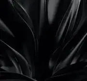 昭和太郎