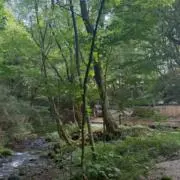 arの画像
