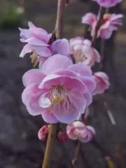 ひなたぼっこの画像