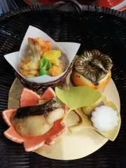 亀甲羅の画像