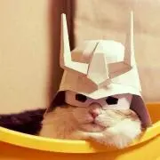ひろの画像