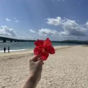 らぱんの画像