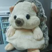 向日葵