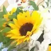 ちえぽんの画像