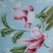 Colorsの画像