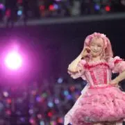 ありの画像
