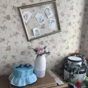 さらだの画像
