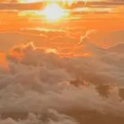 pppの画像