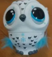 ちぃ