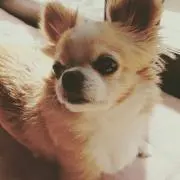 まの⭐プロフご確認お願いします♪