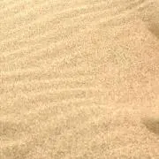 おおのの画像