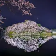 ぶんちゃん
