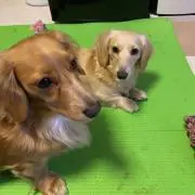takaちゃん