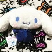 ぽんの画像