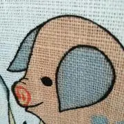 オカメの画像