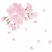 ぱれっと☆の画像