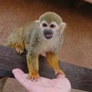 YyySssTtt@@